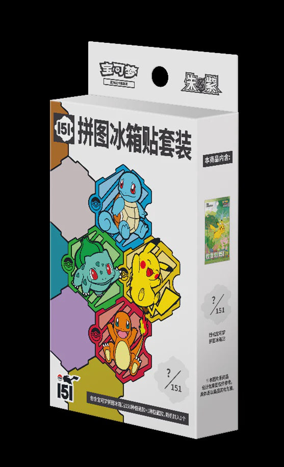 Pokemon TCG Chinese Random Fridge Magnet Blind Box