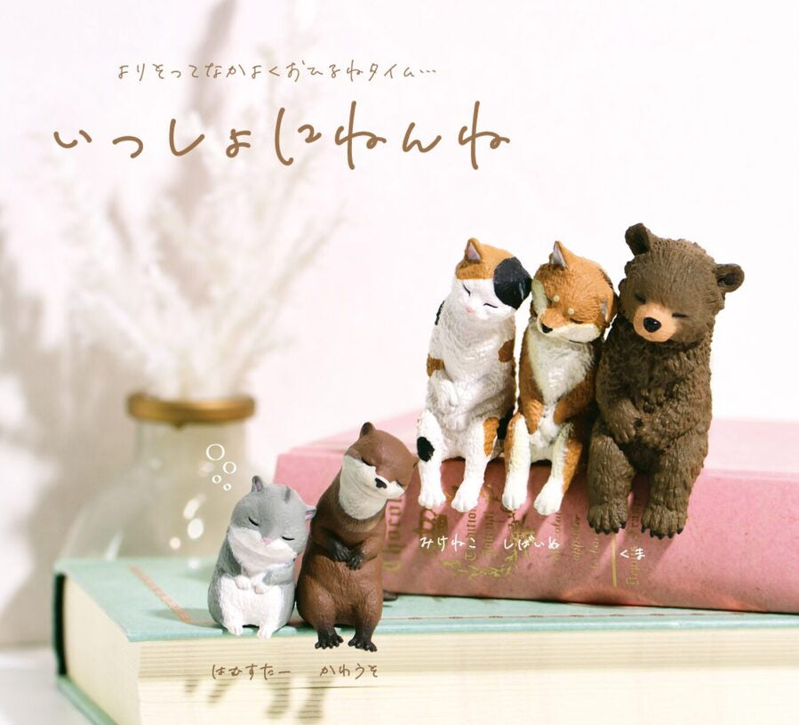 Let's Sleep Animal Blind Box