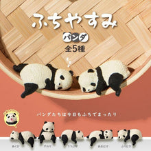 Panda Resting On The Edge Blind Box