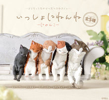 Let's Sleep Kitty Cats Blind Box