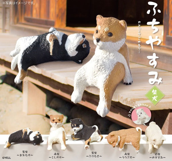 Shiba Inu (dogs) Resting On The Edge Blind Box
